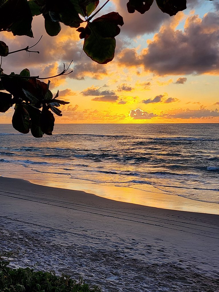 Praia dos Carneiros- Kauai Beach 210- Pé na areia